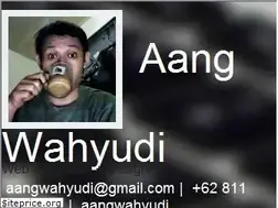 Sites similar to aangwahyudi.com