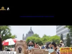 Sites similar to aapifund.org