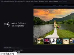 Sites similar to aaroncallantaphotography.com