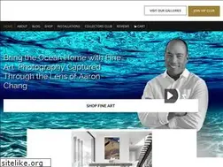 Sites similar to aaronchangoceanart.com