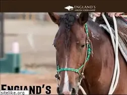Sites similar to aaronengland.com