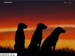 Sites similar to aaronrdavis.com