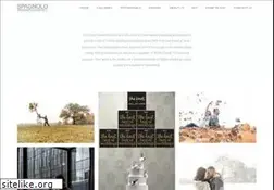 Sites similar to aaronspagnolo.net