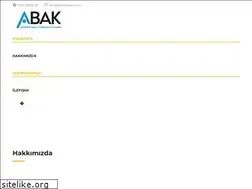 Sites similar to abakinsaat.com