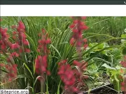 Sites similar to abbeygardens.ca