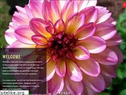 Sites similar to abbiesgarden.com