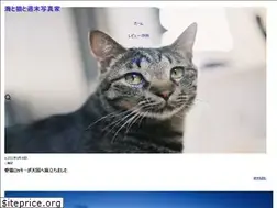 Sites similar to abc-photo.com