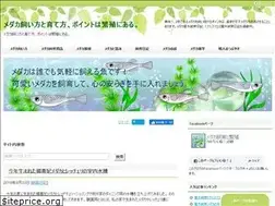Sites similar to abcd08.info