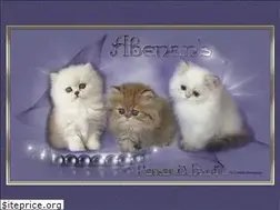 Sites similar to abenans-perserkatzen.de
