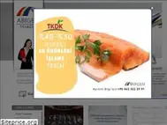 Sites similar to abigemtrabzon.com.tr