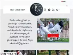 Sites similar to abikabrahma.com