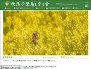 Sites similar to abikoyacho.org