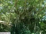 Sites similar to abilt.info
