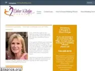Sites similar to ablueridgewedding.com