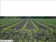Sites similar to abonasa.mx