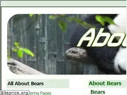 Sites similar to about-bears.com