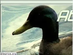 Sites similar to about-birds.net