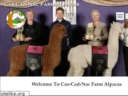 Sites similar to aboutalpacas.com