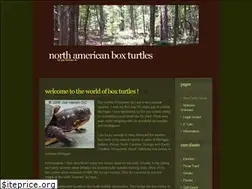 Sites similar to aboxturtle.com