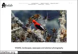 Sites similar to absfab.com