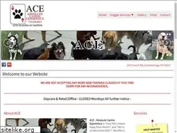 Sites similar to absolutecanineexperience.net