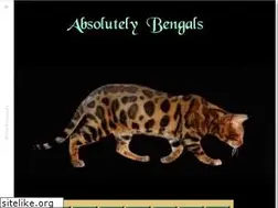 Sites similar to absolutelybengals.com