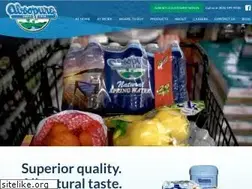 Sites similar to absopure.com
