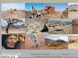 Sites similar to acacialand.com