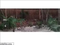 Sites similar to acaciatulum.com