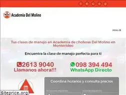 Sites similar to academiadelmolino.com.uy