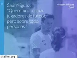 Sites similar to academianiguez.com