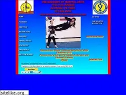 Sites similar to academymartialartsaltoona.com