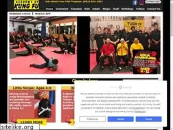 Sites similar to academyofkungfu.com