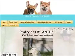 Sites similar to acantus.be