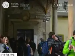 Sites similar to accademiacarrara.it