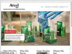Sites similar to accel-inc.com