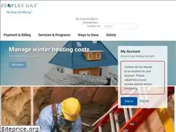 Sites similar to accel.peoplesgasdelivery.com