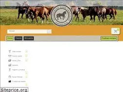Sites similar to accesoriosparacaballos.com