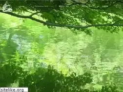 Sites similar to accesshl-kaigo.com