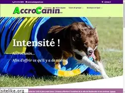 Sites similar to accrocanin.com
