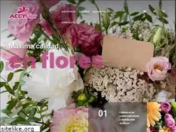 Sites similar to accyflor.mx