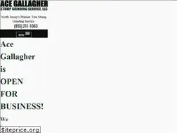 Sites similar to acegallagherstumpgrinding.com