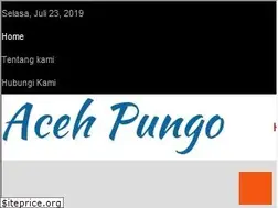 Sites similar to acehpungo.com