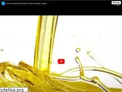 Sites similar to aceitedelbajoaragon.es