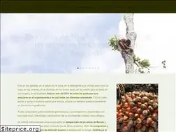 Sites similar to aceitedepalma.org