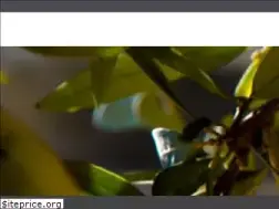 Sites similar to aceitesandua.com