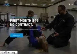 Sites similar to acekarate.com