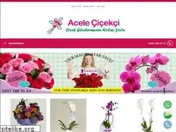 Sites similar to acelecicekci.com