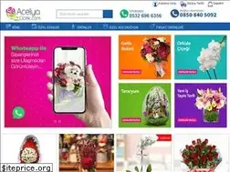 Sites similar to acelyacicek.com
