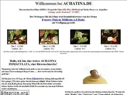 Sites similar to achatina.de